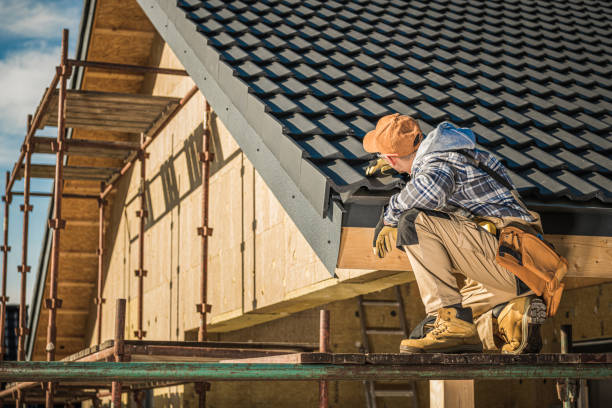 Best Roof Gutter Cleaning  in San Bruno, CA