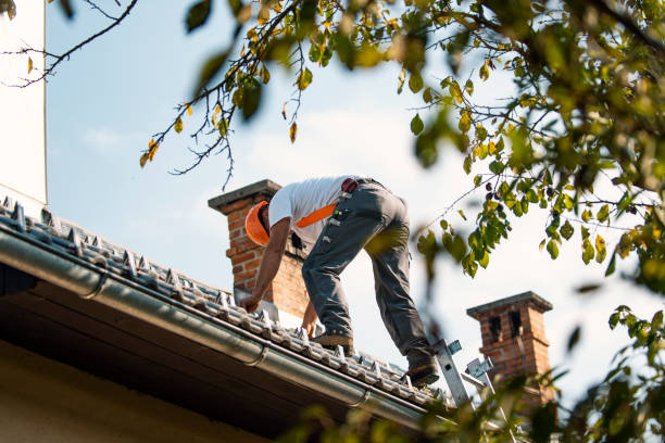 Quick and Trustworthy Emergency Roof Repair Services in San Bruno, CA